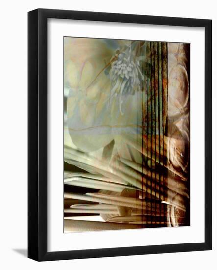 Relic Fan I-Danielle Harrington-Framed Photographic Print