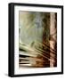 Relic Fan I-Danielle Harrington-Framed Photographic Print