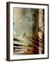 Relic Fan I-Danielle Harrington-Framed Photographic Print