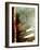 Relic Fan II-Danielle Harrington-Framed Photographic Print