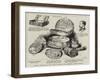 Relics Associated with the Parish of St Clement Danes, Strand-null-Framed Giclee Print