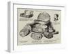 Relics Associated with the Parish of St Clement Danes, Strand-null-Framed Giclee Print