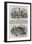 Relics from the Buried City of Brahmunabad, in Sind-null-Framed Premium Giclee Print