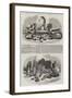 Relics from the Buried City of Brahmunabad, in Sind-null-Framed Giclee Print