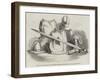 Relics of the Battle of Worcester, Exhibited in the Museum and at the Guildhall-null-Framed Giclee Print