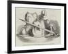 Relics of the Battle of Worcester, Exhibited in the Museum and at the Guildhall-null-Framed Giclee Print