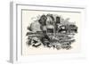 Relics of the Franklin Expedition-null-Framed Giclee Print