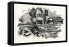 Relics of the Franklin Expedition-null-Framed Stretched Canvas