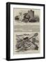 Relics of the Franklin Expedition-null-Framed Giclee Print