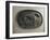 Relief Bronze Plate Depicting Dog-null-Framed Giclee Print