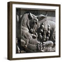 Relief carving, ruins of the ancient Persian city of Persepolis, Iran, first half of 5th century BC-Werner Forman-Framed Photographic Print