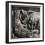 Relief carving, ruins of the ancient Persian city of Persepolis, Iran, first half of 5th century BC-Werner Forman-Framed Photographic Print