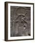 Relief Carvings Adorn the Walls of the Temple of Philae, Near Aswan, Egypt-Mcconnell Andrew-Framed Photographic Print