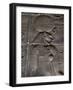 Relief Carvings Adorn the Walls of the Temple of Philae, Near Aswan, Egypt-Mcconnell Andrew-Framed Photographic Print