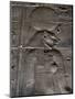Relief Carvings Adorn the Walls of the Temple of Philae, Near Aswan, Egypt-Mcconnell Andrew-Mounted Premium Photographic Print