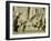 Relief Depicting a Chariot Race-null-Framed Giclee Print