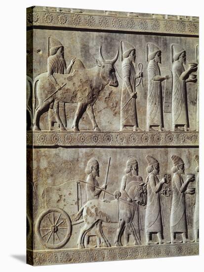 Relief Depicting a Procession in the Apadana-null-Stretched Canvas