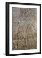 Relief Depicting a Winged Genie, from the Palace at Nimrud (Kalah) (Gypsum)-null-Framed Giclee Print