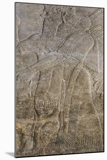 Relief Depicting a Winged Genie, from the Palace at Nimrud (Kalah) (Gypsum)-null-Mounted Giclee Print