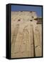 Relief Depicting Horus on Left, Pylon, Temple of Horus, Edfu, Egypt, North Africa, Africa-Richard Maschmeyer-Framed Stretched Canvas