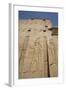 Relief Depicting Horus on Left, Pylon, Temple of Horus, Edfu, Egypt, North Africa, Africa-Richard Maschmeyer-Framed Photographic Print