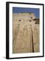 Relief Depicting Horus on Left, Pylon, Temple of Horus, Edfu, Egypt, North Africa, Africa-Richard Maschmeyer-Framed Photographic Print