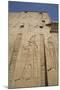 Relief Depicting Horus on Left, Pylon, Temple of Horus, Edfu, Egypt, North Africa, Africa-Richard Maschmeyer-Mounted Photographic Print