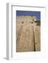 Relief Depicting Horus on Left, Pylon, Temple of Horus, Edfu, Egypt, North Africa, Africa-Richard Maschmeyer-Framed Photographic Print