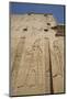 Relief Depicting Horus on Left, Pylon, Temple of Horus, Edfu, Egypt, North Africa, Africa-Richard Maschmeyer-Mounted Photographic Print