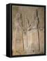 Relief Depicting Sargon II-Assyrian-Framed Stretched Canvas