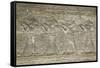 Relief Depicting the God Anubis, Temple of Horus, Edfu, Egypt, North Africa, Africa-Richard Maschmeyer-Framed Stretched Canvas