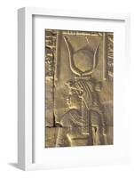 Relief Depicting the Goddess Hathor, Temple of Horus, Edfu, Egypt, North Africa, Africa-Richard Maschmeyer-Framed Photographic Print