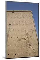 Relief Depicting the Pharaoh Slaying Enemies-Richard Maschmeyer-Mounted Photographic Print