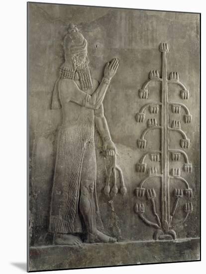 Relief du palais de Sargon II : génie portant un fleur de pavot-null-Mounted Giclee Print