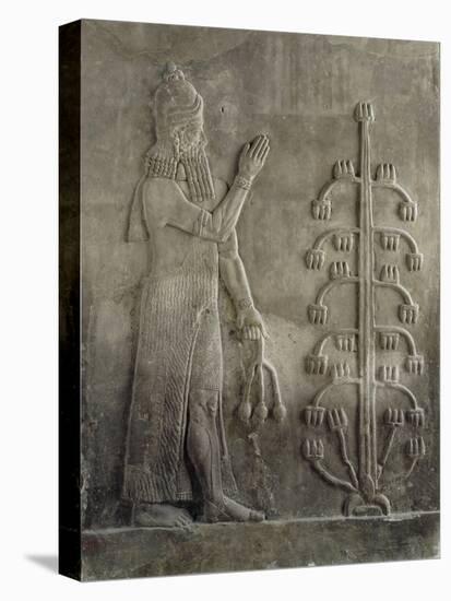 Relief du palais de Sargon II : génie portant un fleur de pavot-null-Stretched Canvas