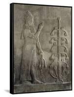 Relief du palais de Sargon II : génie portant un fleur de pavot-null-Framed Stretched Canvas