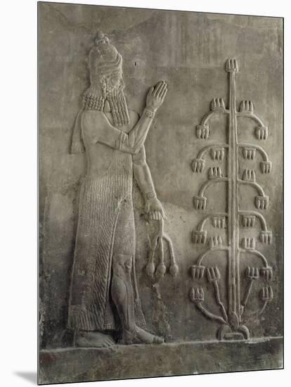 Relief du palais de Sargon II : génie portant un fleur de pavot-null-Mounted Giclee Print