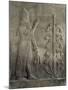Relief du palais de Sargon II : génie portant un fleur de pavot-null-Mounted Giclee Print