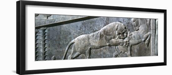 Relief of a bull being attacked by a lion, the Apadana, Persepolis, Iran-Vivienne Sharp-Framed Photographic Print