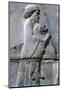 Relief of a man holding a lion cub, Persepolis, Iran-Vivienne Sharp-Mounted Photographic Print