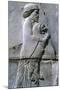 Relief of a man holding a lion cub, Persepolis, Iran-Vivienne Sharp-Mounted Photographic Print