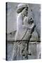 Relief of a man holding a lion cub, Persepolis, Iran-Vivienne Sharp-Stretched Canvas