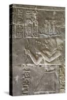 Relief of a Priest, Temple of Horus, Edfu, Egypt, North Africa, Africa-Richard Maschmeyer-Stretched Canvas