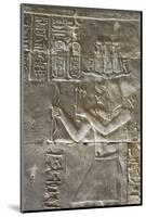 Relief of a Priest, Temple of Horus, Edfu, Egypt, North Africa, Africa-Richard Maschmeyer-Mounted Photographic Print