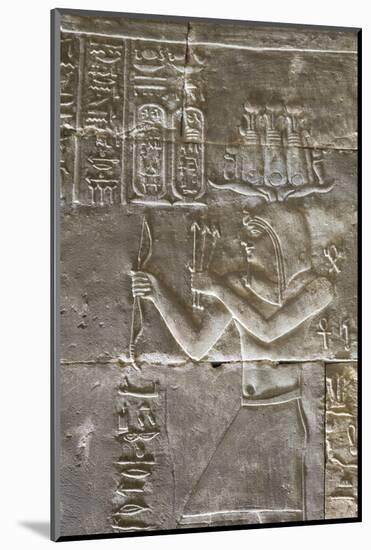 Relief of a Priest, Temple of Horus, Edfu, Egypt, North Africa, Africa-Richard Maschmeyer-Mounted Photographic Print