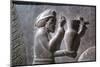 Relief of an Armenian man carrying a vessel, the Apadana, Persepolis, Iran-Vivienne Sharp-Mounted Photographic Print