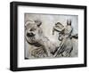 Relief of Balustrade Depicting Athena-null-Framed Giclee Print