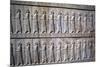 Relief of Immortals, the Apadana, Persepolis, Iran-Vivienne Sharp-Mounted Photographic Print