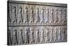Relief of Immortals, the Apadana, Persepolis, Iran-Vivienne Sharp-Stretched Canvas