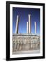 Relief of Medes and Persians, the Apadana, Persepolis, Iran-Vivienne Sharp-Framed Photographic Print